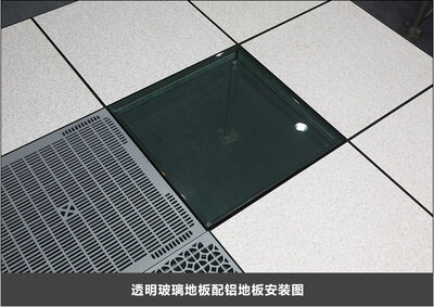 Aluminum anti-static raised access floor